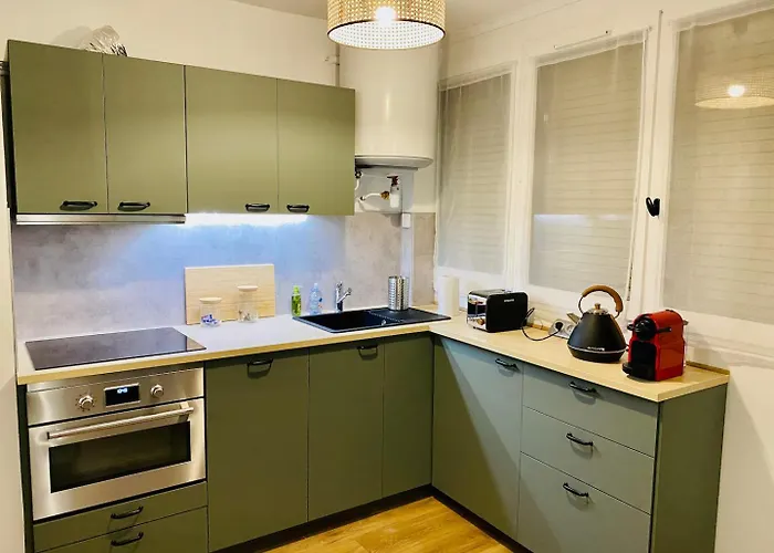 Ecrin Large Parking 2 Bedrooms Fiber Close To Tram גרנובל